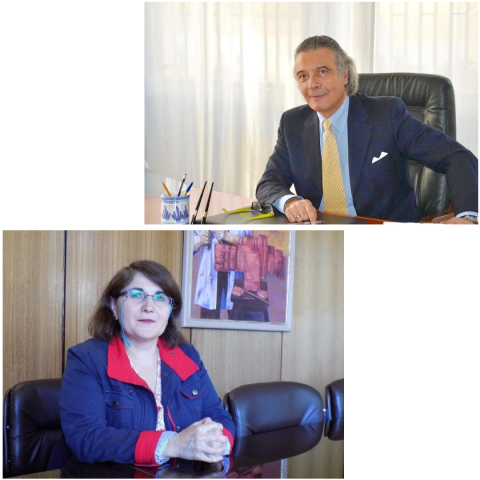 External experts